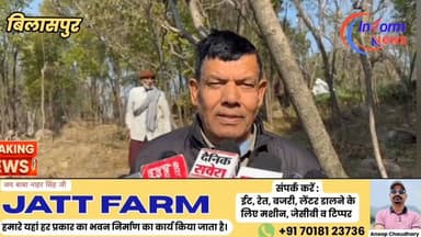 शहर के बीचों-बीच चंदन तस्करों का तांडव, रातों-रात 15 पेड़ काटे #rampurbushahr #rampurbushahr #congress #Congress #congre...