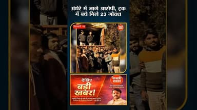 आधी रात… जंगल का सन्नाटा… और त्रिपाल में छुपा था 23 गौवंश का दर्द! #gauraksha #bajrangdal #viral