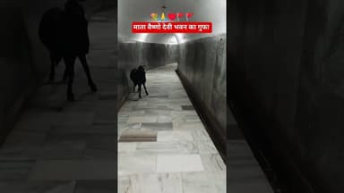 #shorts माता वैष्णो देवी भवन जाने वाली गुफा #matavaishnodevi #yatra #shorts #2026