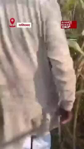 मोदीनगर में ईंख के खेत से मिली लावारिस तिजोरी, इलाके में मचा हड़कंप #viral #crime #gaziyabad