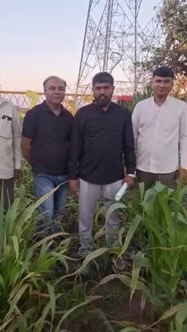 ભાણવડ: ભાણવડ તાલુકામાં ફરીવાર ઉર્જા કંપનીની મનમાની સામે આવતા ખેડૂતોમાં રોષની લાગણી...