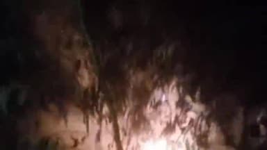 छत्तरगढ़: आरडी 542 के पास नहर किनारे झाड़ियों में लगी आग