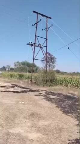 ಚಳ್ಳಕೆರೆ: ಗೋಪನಹಳ್ಳಿ ಗ್ರಾಮದ ಬಳಿ ವಿದ್ಯುತ್ ಶಾರ್ಟ್ ಸರ್ಕ್ಯುಟ್, ತಪ್ಪಿದ ದುರಂತ