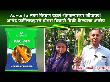 Bhadgaon मका बियाणे उठले शेतकऱ्याच्या जीवावर?, आनंद फर्टीलायझरने बोगस बियाणे विक्री केल्याचा आरोप