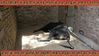 #जिला_कलेक्टर_कार्यालय_के_बाहर_गोवंश_की_दुर्दशा, #सरकारी_सिस्टम_की_डेडलाइन_या_गायों_की_डेथलाइन'
#jila #collector #karya...