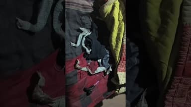 #औरैया नागिन बनकर गायब होने वाली युवती ने वीडियो जारी कर खोला राज, प्रेमी संग की शादी