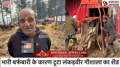 #चौपाल :- भारी बर्फबारी के कारण बुरी तरह से क्षतिग्रस्त हुआ लंकड़वीर गौशाला का शैड, गौवंश भी हुए थे ज़ख़्मी..गौशाल संचाल...