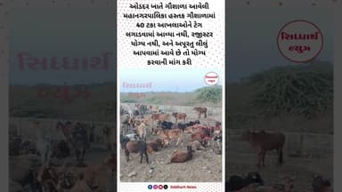 મહાનગરપાલિકા હસ્તક ગૌશાળામાં 40 ટકા આખલાઓને ટેગ લગાડવામાં આવ્યા નથી, રજીસ્ટર યોગ્ય નથી,