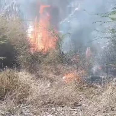 नीमराना: कांकर गांव की पहाड़ी में अज्ञात कारणों से लगी भीषण आग, वन्य जीव चपेट में आने से मची अफरा-तफरी