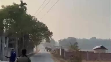 দেৰগাঁও: দেৰগাঁৱৰ দাধৰা, বৰপুখুৰীপাৰ,বাহৰুৱা আদি অঞ্চলত বনৰীয়া হাতীৰ মুক্ত বিচৰণ, ঘটনাস্থলীত উপস্থিত বন বিভাগৰ লোক