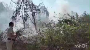 রানিবাঁধ: ঝোপঝাড়ে আগুন, আতঙ্কে খাতড়ার মাহারাডিহির গ্রামবাসী, দমকলের তৎপরতায় বড় দুর্ঘটনা এড়ানো গেল