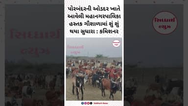 પોરબંદરની ઓડદર ખાતે આવેલી મહાનગરપાલિકા હસ્તક ગૌશાળામાં શું શું થયા સુધારા : કમિશનર