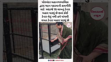 શ્વાન પકડવાની કામગીરી માટે અંદાજે 75 લાખનું ટેન્ડર બહાર પાડ્યું છે