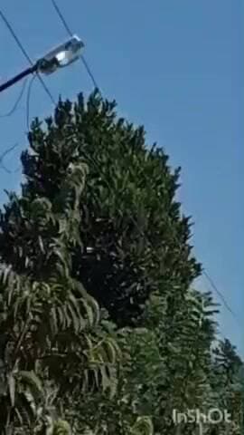 ಚಿಕ್ಕಮಗಳೂರು: ಅನುಮಾನಾಸ್ಪದ ರೀತಿಯಲ್ಲಿ ಲಘು ವಿಮಾನ ಹಾರಾಟ ಪ್ರಕರಣ, ಜಿಯೋಲಾಜಿಕಲ್ ಸರ್ವೇ ಆಫ್ ಇಂಡಿಯಾದ ವಿಮಾನವೆಂಬ ಮಾಹಿತಿ ಲಭ್ಯ.!