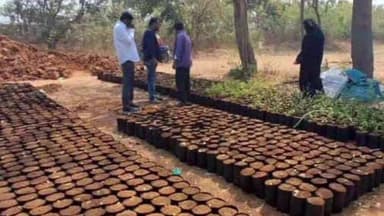 మాచారెడ్డి: పాల్వంచలో నర్సరీని తనిఖీ, అధికారులకు పలు సూచనలు చేసిన ఎంపీడీవో