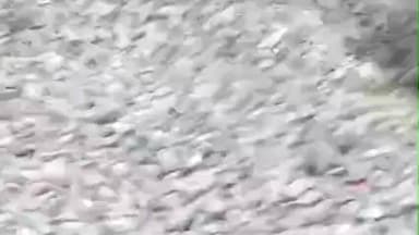 इस्माइलपुर: निरीक्षण और खबर का हुआ असर, निर्माण कार्य में आया सुधार