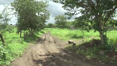 खुडैल: छावनी अनाज मंडी शिफ्ट करने में अड़चन, मोरोद की ज़मीन पर वन विभाग की आपत्ति, प्रशासन करेगा बैठक