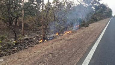 दमयंती नगर: दमोह-जबलपुर मार्ग पर वन विभाग ने चिरई चोंच और हथनी के बीच बनाई फायर लाइन, सूखी पत्तियों में आग
