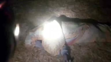 चुरचु: गोंदवार में आधी रात हाथियों का तांडव, 6 माह के मासूम समेत 6 को रौंदा, तीन घंटे तक मचाया कहर