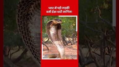 प्यार में पड़ी लड़की बनी ईक्षा धारी नागिन!#viralrëëls #reelsinstagram😍 #trendings #latstupdate