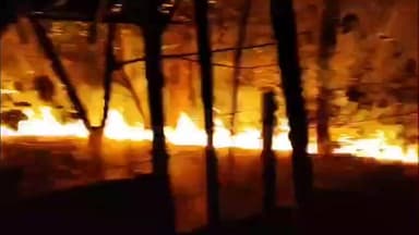 धालभूमगढ़: धालभूमगढ़ रेस्ट हाउस के पास झाड़ियों में लगी आग, समय रहते आग पर पाया गया काबू