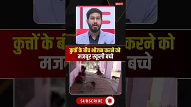 कुत्तों के बीच भोजन करने को मजबूर स्कूली बच्चे। #sidhi #mpviralnews #mpviralvideo #viralshorts