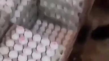 ఇబ్రహీంపట్నంలో మధ్యాహ్నం భోజనం సరుకులు పక్కదారి