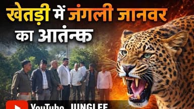 खेतड़ी में नहीं रुक रहा जंगली जानवर का कहर... अधिकारियों ने कहा