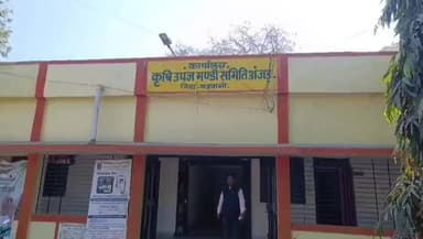 ठीकरी: भारतीय कपास निगम लिमिटेड द्वारा अंजड़ कृषि उपज मंडी में 27 फरवरी तक होगी कपास की खरीदी