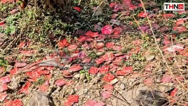 इसे केलो नदी में किसने फेंका... आखिर पुलिस की कार्यवाही से क्या लिंक जुड़ा है.?
Harpal Singh Khunte
#KeloNadi
#Breaki...