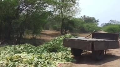 ఉదయగిరి: లింగసముద్రం మండలం గంగపాలెం గ్రామ సమీపంలో ట్రాక్టర్ బోల్తా ఇద్దరు మృతి