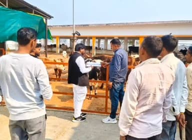 रुधौली: रूधौली नगर पंचायत अध्यक्ष ने कैडिहवा स्थित गौशाला का निरीक्षण किया, दिए निर्देश