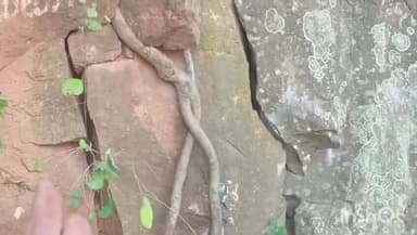 వెంకటాపుర్: రామప్ప పాలంపేట దగ్గర ఉన్న మత్తడి వద్ద వింత దృశ్యం