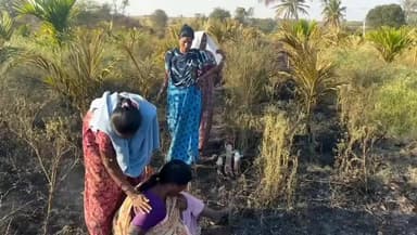 ಹಿರಿಯೂರು: ರಾಮಜೋಗಿಹಳ್ಳಿ ಗ್ರಾಮದಲ್ಲಿ ಬೆಂಕಿ ಬಿದ್ದು ಅಡಿಕೆ ಸಸಿ ಭಸ್ಮ