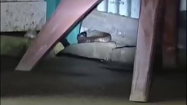 রাজগঞ্জ: কালীরহাটের মেলায় গিয়ে বাড়ি থেকে খবর আসায় ছুটে ফিরতে হলো বাড়ি, তার পর যা দেখে চমকে উঠলো এক ব্যক্তি