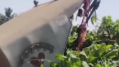 पलूस: पलूस तालुक्यातील खटाव येथे शेतकऱ्याच्या द्राक्ष बागेवर अज्ञाताने फिरवला ट्रॅक्टर,शेतकऱ्याचे लाखोंचे नुकसान