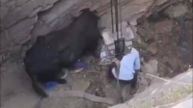 થાનગઢ: થાનગઢના લાખામાચી ગામે ગૌવંશને રેસ્ક્યુ હાથ ધર્યું