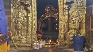 அருப்புக்கோட்டை: மீனாட்சி சொக்கநாதர் திருக்கோவில் ஆலயத்தில் மாசி மாதம் மகா சனி பிரதோஷத்தை முன்னிட்டு சிறப்பு அபிஷேகங்கள் தீபாரதனை