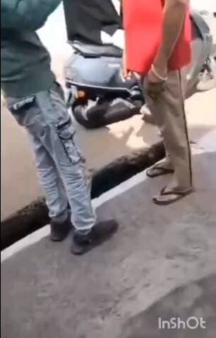 मुरार: गुटखे के दाम पर विवाद: ग्राहक ने कट्टा दिखाकर दुकानदार को धमकाया, वीडियो वायरल