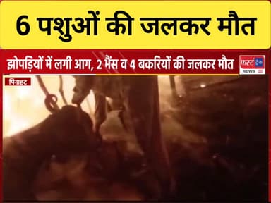 पिनाहट में झोपड़ी में लगी आग। कई पशु आए चपेट में। पशुपालकों का रो-रो कर बुरा हाल।
#DholpurNews #RajasthanNews #BreakingNe...