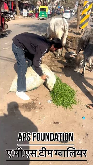 जितना हो सके उतना करलो साथ मे कुछ नही जाऐगा..!
Respect Girls help poor help animals
#apsgurjar #help #gwalior