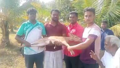 குளத்தூர்: உச்சாணி கிராமத்தில் கிணற்றுக்குள் விழுந்த புள்ளிமான மீட்ட இளைஞர்கள் பத்திரமாக காட்டுக்குள் விடப்பட்டது