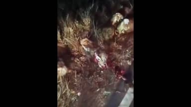 ఏటూరునాగారం: చిన్నబోయినపల్లి – తాడ్వాయి మధ్య 20 గొర్రెలపై దూసుకెళ్లిన ఇసుక లారీ