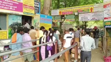 ஸ்ரீவில்லிபுத்தூர்: மகா சிவராத்திரியை முன்னிட்டு சதுரகிரியில் குவிந்த பக்தர்கள் ஆயிரக்கணக்கான பக்தர்கள் மலையேறி சென்று சாமி தரிசனம்