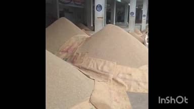 ઊંઝા: એશિયાના સૌથી મોટા ઊંઝા ગંજ બજારમાં નવા જીરાની 2500 બોરીની આવક અને જુના જીરાની 8000 બોરી ની આવક નોંધાઈ