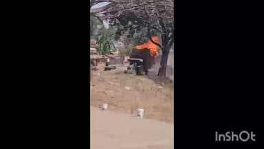 भैंसदेही: झल्लार के पास ट्रैक्टर की ट्रॉली में लगी आग, दौड़ती रही, सूझबूझ से टला बड़ा हादसा