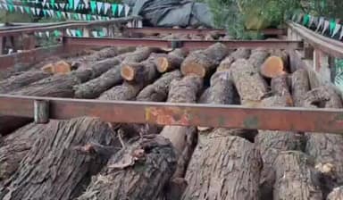 पड़वा: कजरी में पुराने नेशनल हाईवे पर ट्रक से 26430 किलो प्रतिबंधित खैर की लकड़ी बरामद, चालक फरार
