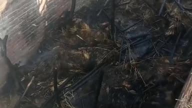 पुरवा: ऊँचगांव सानी में अज्ञात कारणों से आग लगी