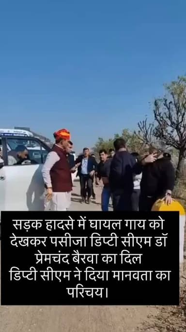 सड़क हादसे में कार की टकककर से घायल गाय को देखकर डिप्टी सीएम डॉ प्रेमचंद बैरवा का दिल पसीजा, काफिला रोककर घायल गाय के इल...