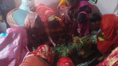 कुडू: महाशिवरात्रि पर कुडू में उमड़ा आस्था का सैलाब, शिवालयों में गूंजे हर हर महादेव के जयकारे, हुआ भजन-कीर्तन व भंडारा